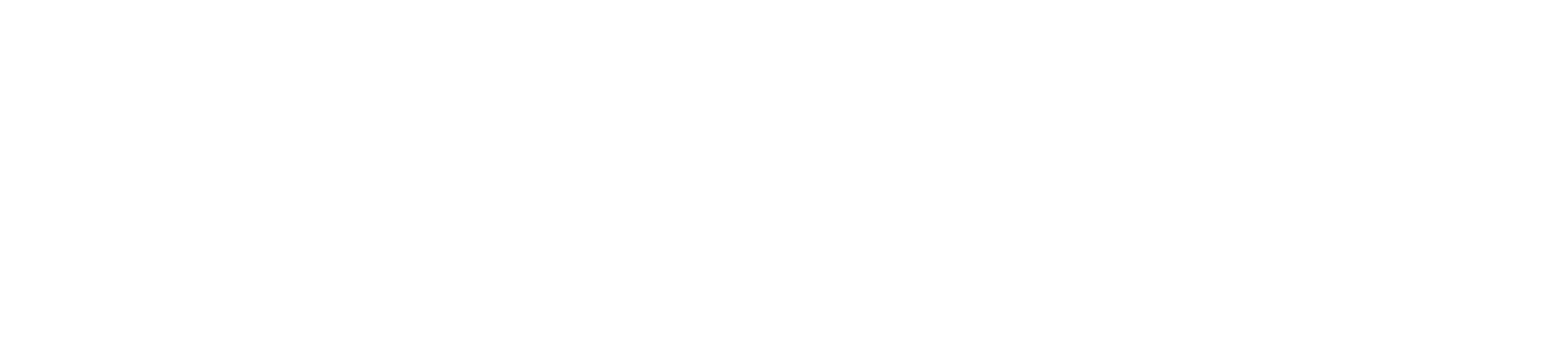 Co-funded by EU logo